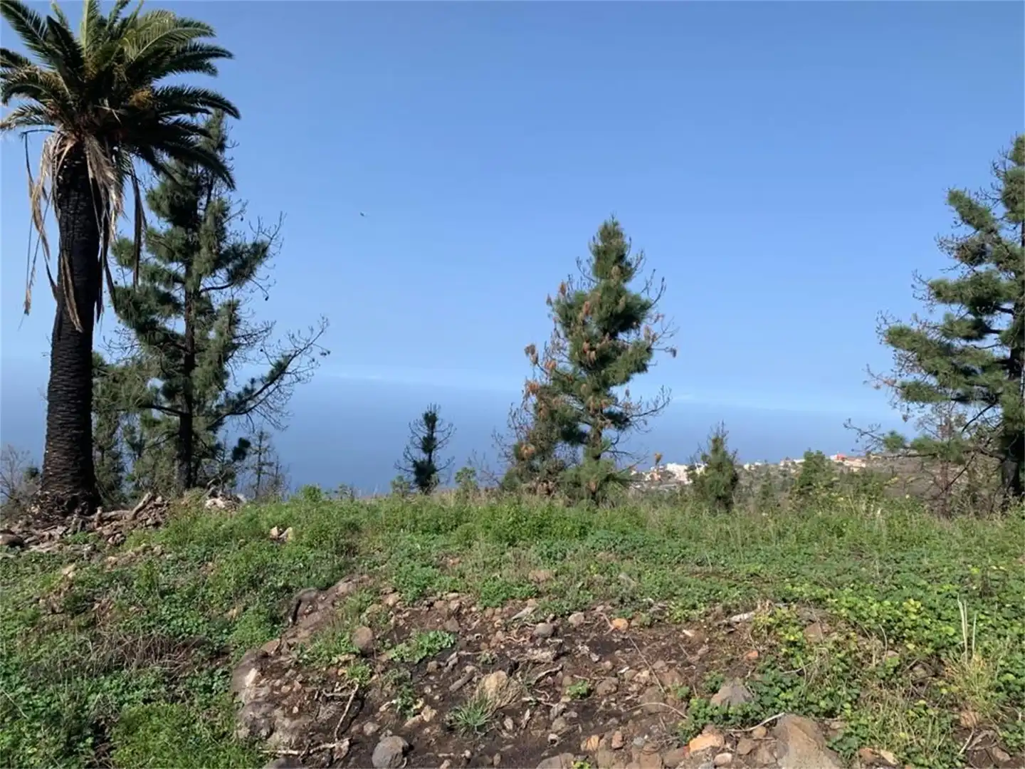 Finca rústica en venta en Tijarafe