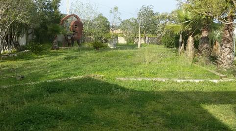 Finca rústica en venda a Polígono 1, Llocnou de Sant Jeroni, Valencia - imatge 4 Foto 4 de Finca rústica en venda a Polígono 1, Llocnou de Sant Jeroni, Valencia