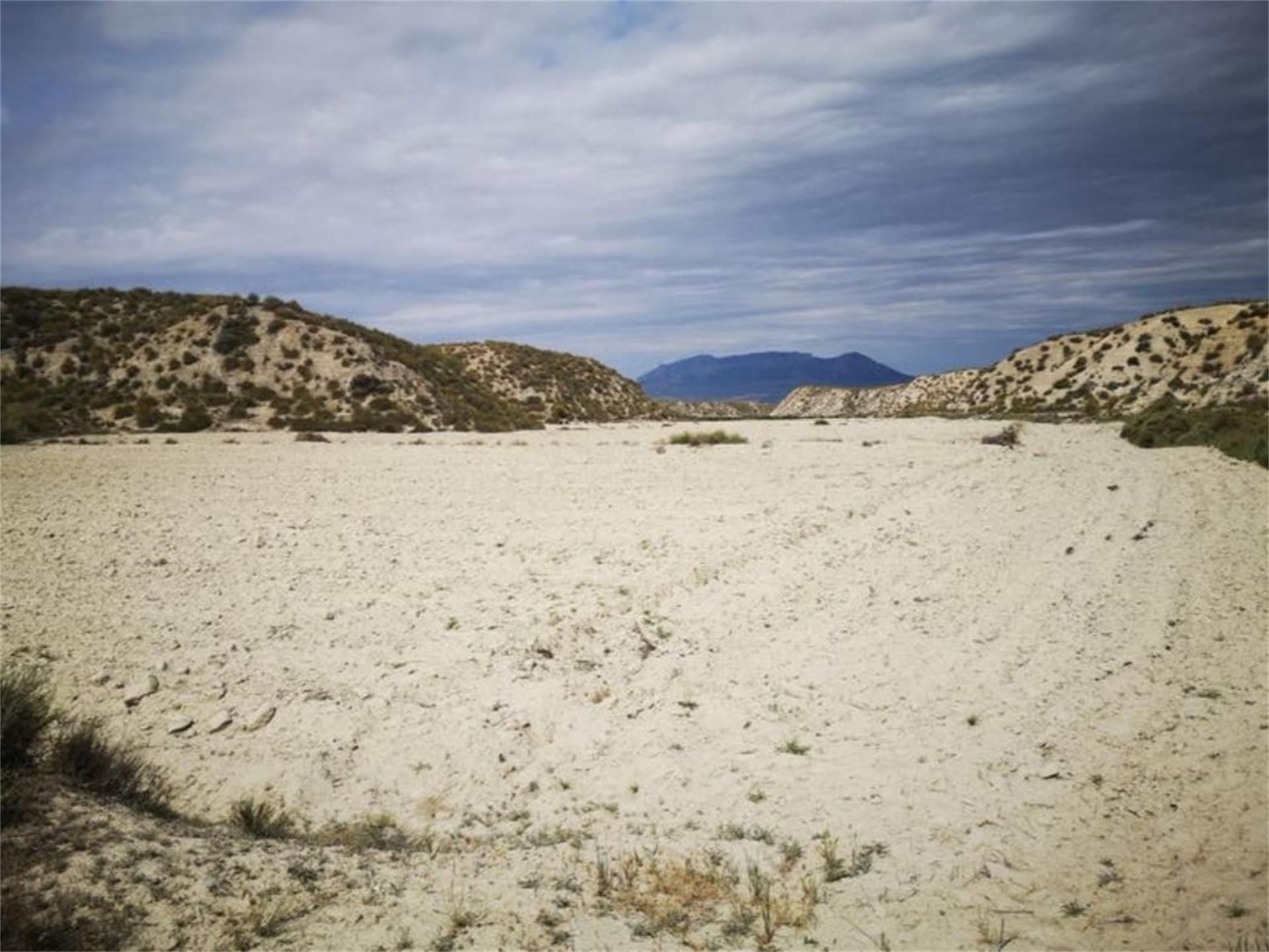 Exterior view of Non-constructible Land for sale in Cúllar
