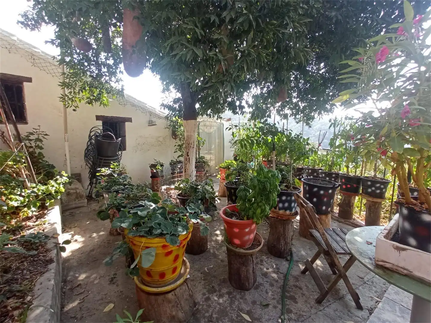 Country homes for sale in El Lavadero, Genalguacil Terrace of Country homes for sale in Genalguacil with Furnished