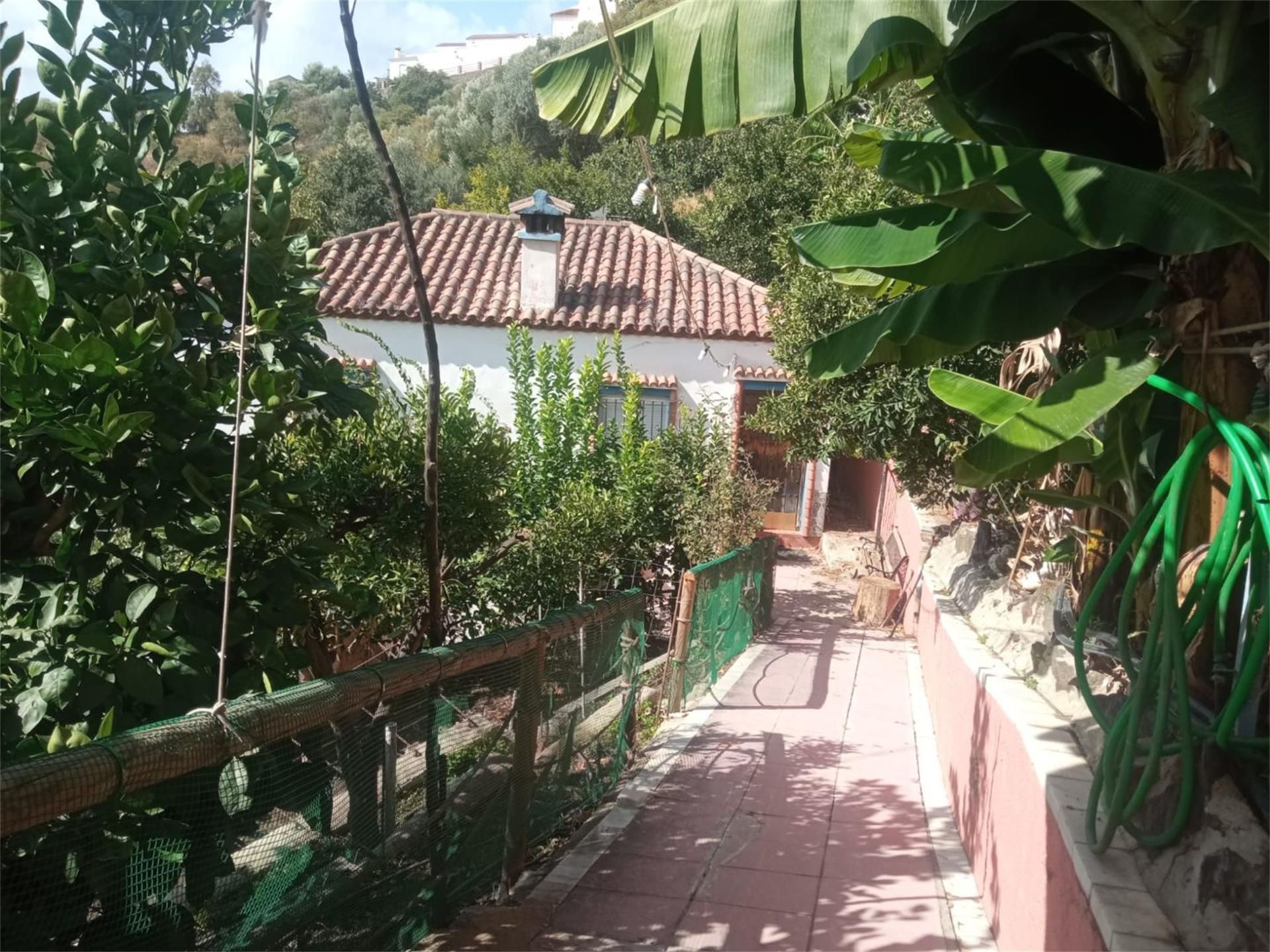 Exterior view of Country house for sale in Genalguacil  with Furnished