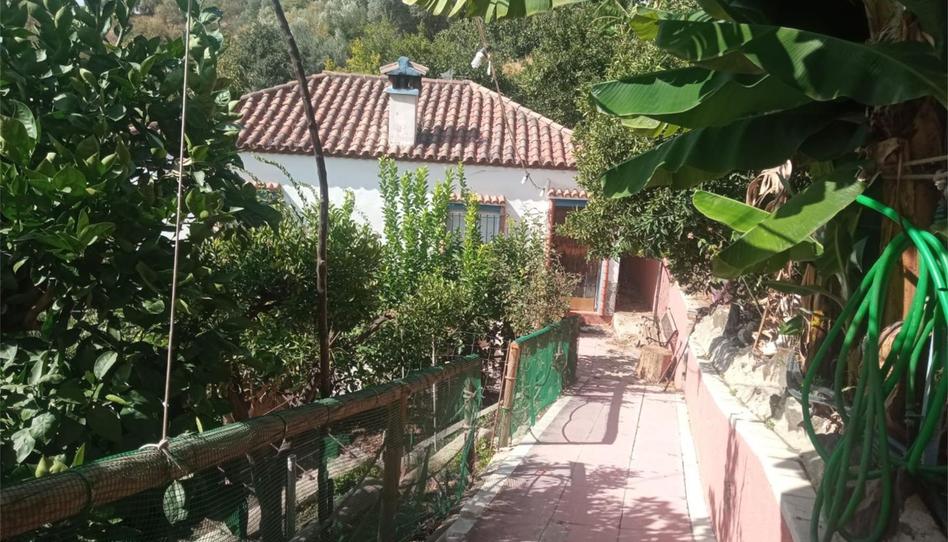 Country house for sale in El Lavadero, Genalguacil, Málaga - image 1 Photo 1 of Country house for sale in El Lavadero, Genalguacil, Málaga