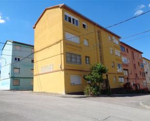 Exterior view of Flat for sale in Valdeolea