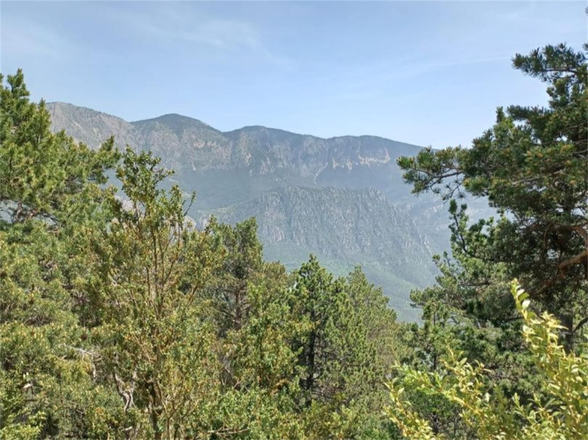 Exterior view of Land for sale in Odèn