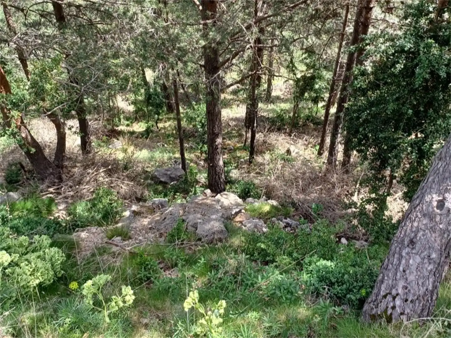 Terreno en venta en Camí dels Planells, Odèn Terreno en venta en Odèn