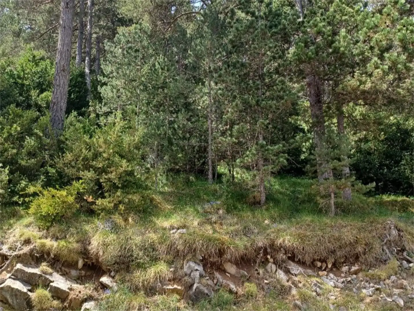 Terreno en venta en Camí dels Planells, Odèn Terreno en venta en Odèn