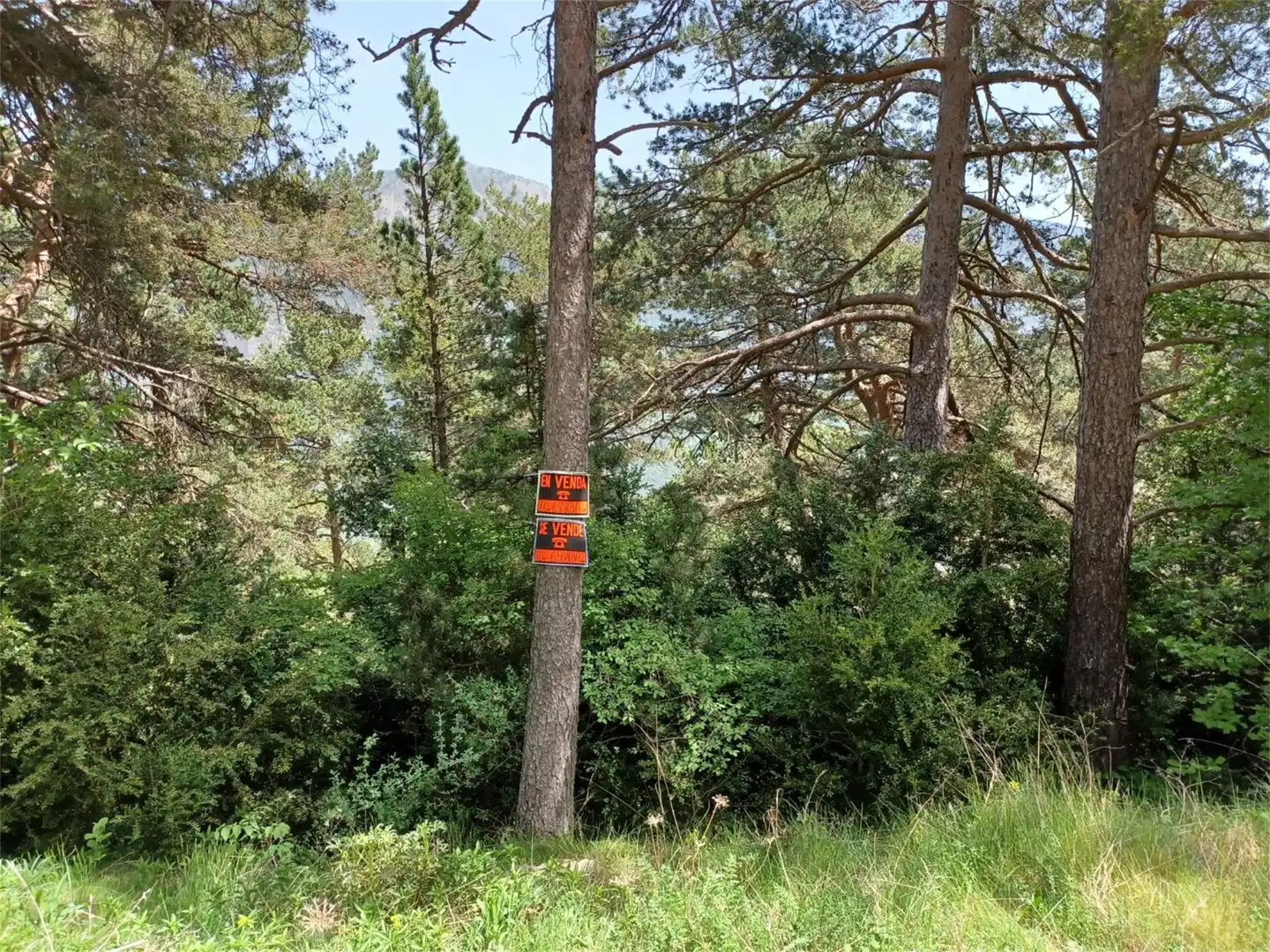 Terreno en venta en Camí dels Planells, Odèn Terreno en venta en Odèn