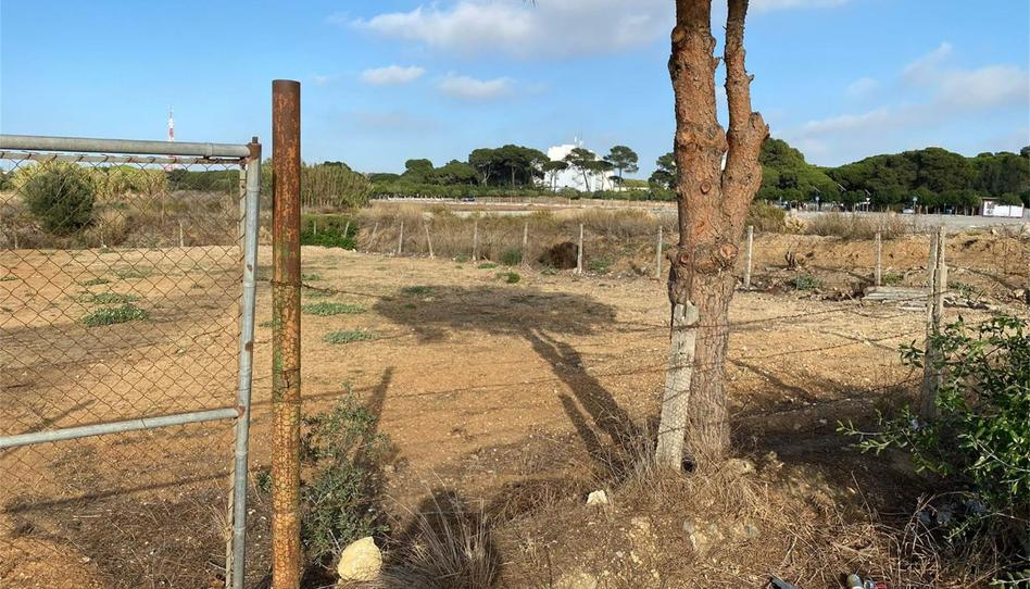 Finca rústica en venda a Camino Hospital, El Almedral, Cádiz - imatge 1 Foto 1 de Finca rústica en venda a Camino Hospital, El Almedral, Cádiz