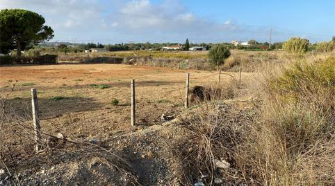 Finca rústica en venda a Camino Hospital, El Almedral, Cádiz - imatge 2 Foto 2 de Finca rústica en venda a Camino Hospital, El Almedral, Cádiz