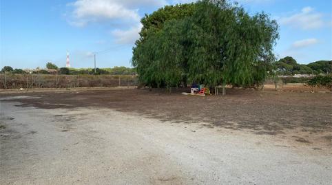 Finca rústica en venda a Camino Hospital, El Almedral, Cádiz - imatge 4 Foto 4 de Finca rústica en venda a Camino Hospital, El Almedral, Cádiz