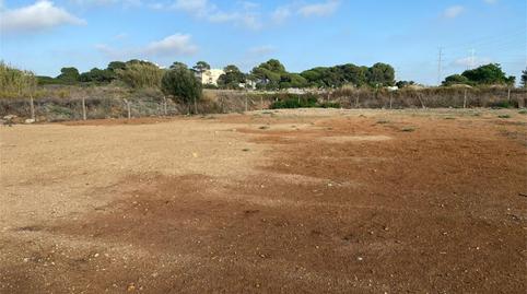 Finca rústica en venda a Camino Hospital, El Almedral, Cádiz - imatge 5 Foto 5 de Finca rústica en venda a Camino Hospital, El Almedral, Cádiz