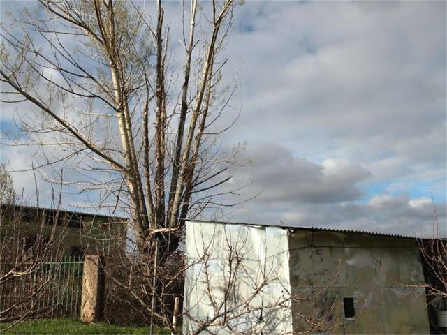 Terreno en Venta en Núcleo Congostrina en Congostrina