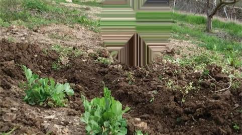 Foto 2 de Terreno en venta en Núcleo Congostrina, Congostrina, Guadalajara