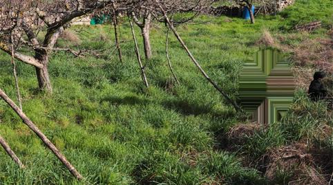 Foto 3 de Terreno en venta en Núcleo Congostrina, Congostrina, Guadalajara