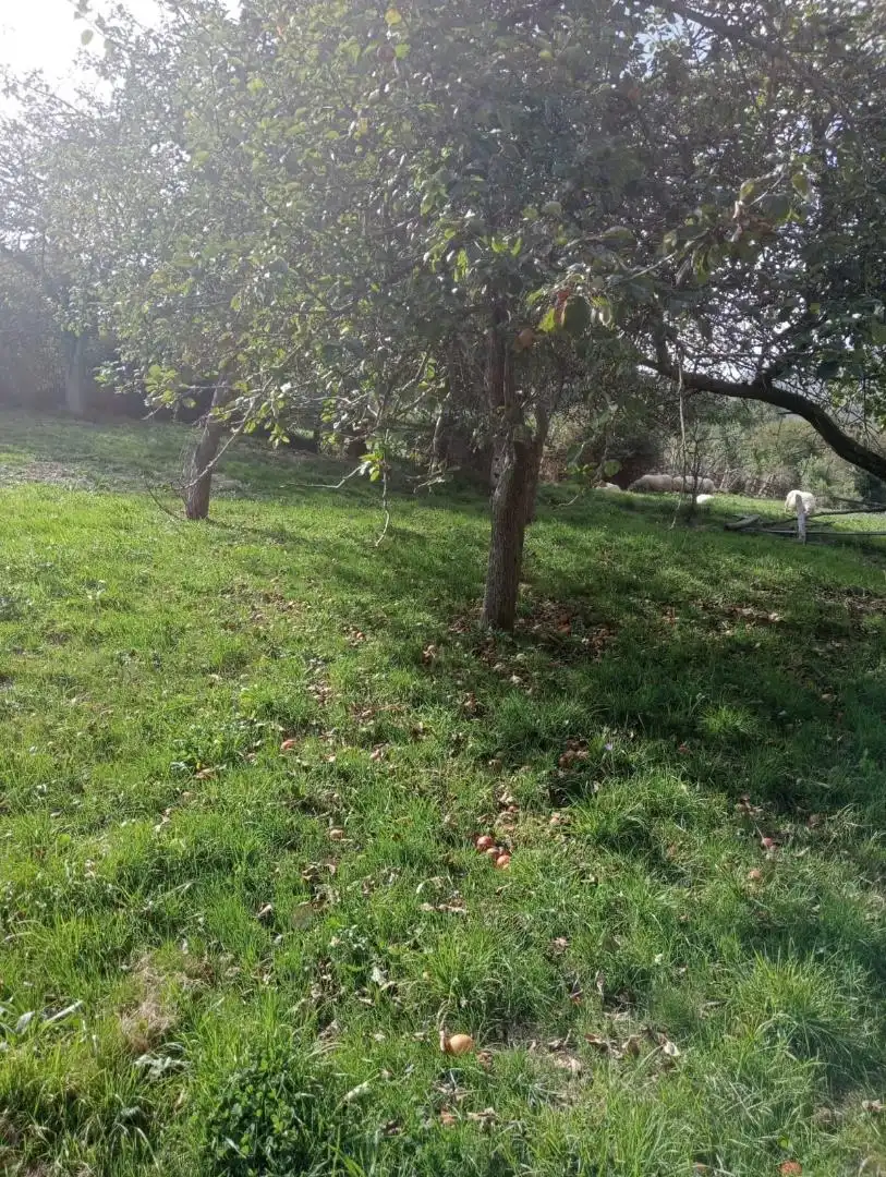Casa o chalet en venta en Laviana con Terraza y Balcón