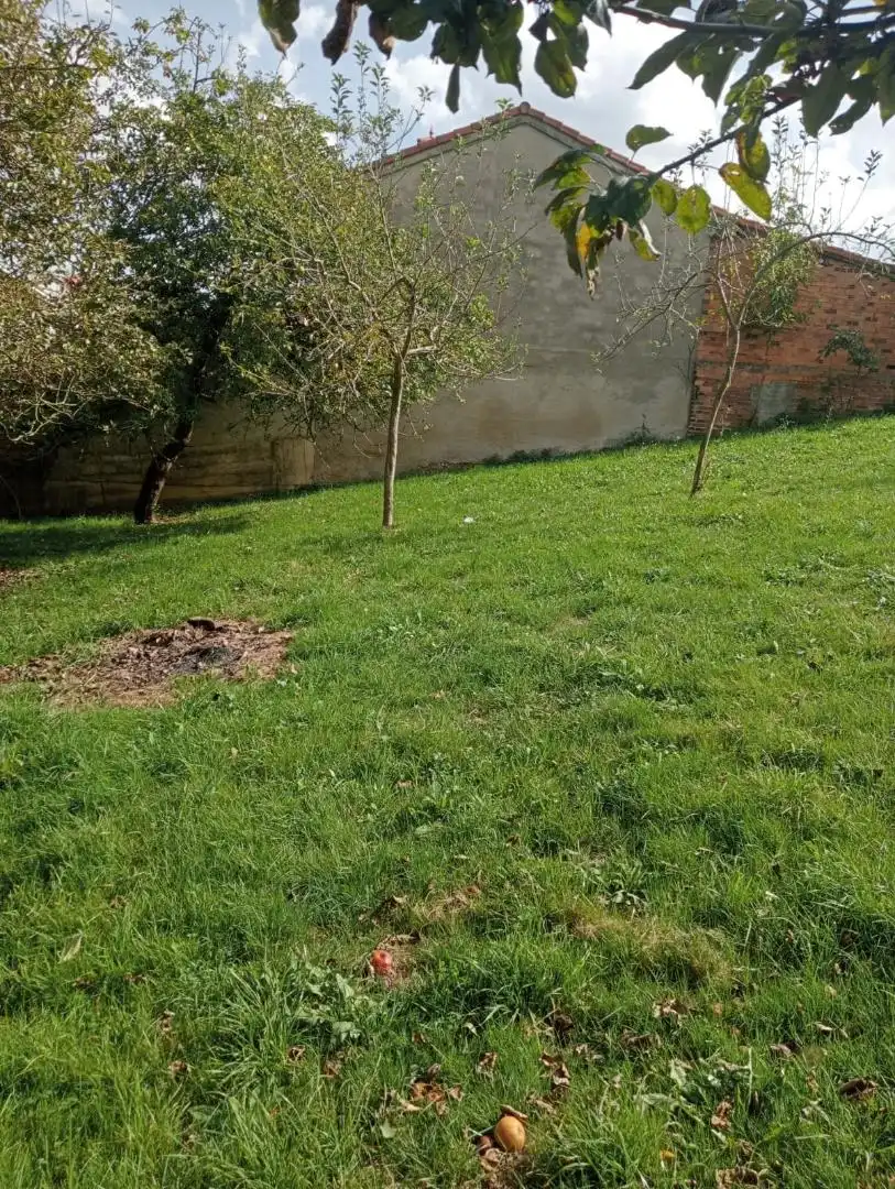 Casa o chalet en venta en Laviana con Terraza y Balcón