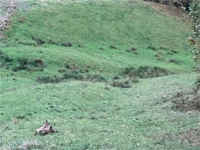 Finca rústica en Venta en Barrio Linto en Miera