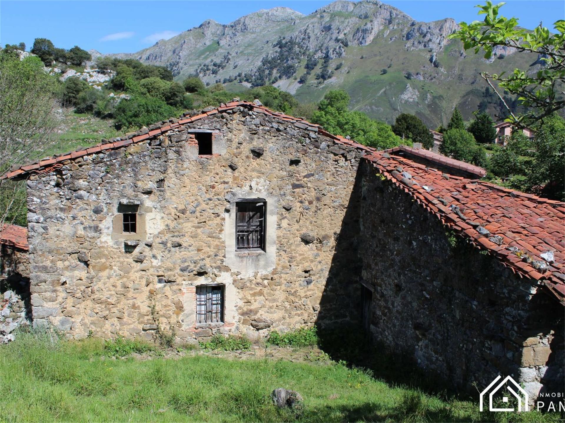 Vista exterior de Finca rústica en venda en Peñamellera Baja