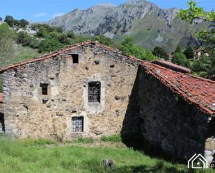 Vista exterior de Finca rústica en venda en Peñamellera Baja