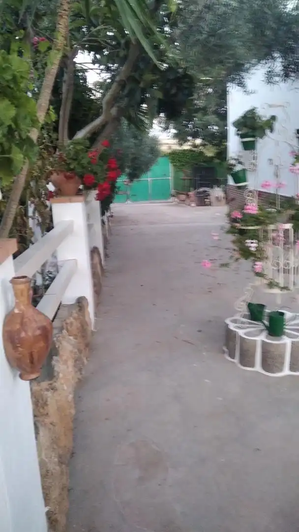 Casa o xalet en venda en El Coronil amb Aire condicionat, Calefacció i Jardí privat