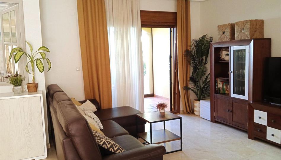 Planta baixa en venda a Avenida Antonio Pedrera Soler, Algorfa, Alicante - imatge 1 Foto 1 de Planta baixa en venda a Avenida Antonio Pedrera Soler, Algorfa, Alicante