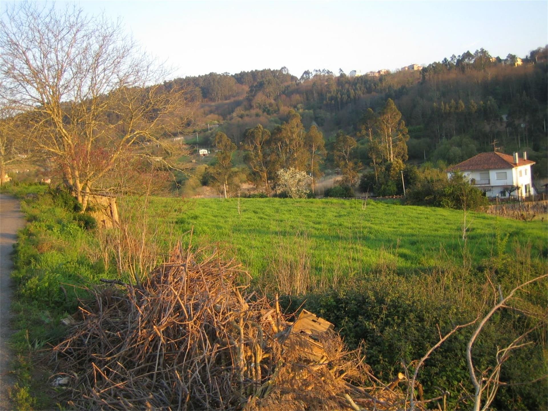 Non-constructible Land for sale in Betanzos