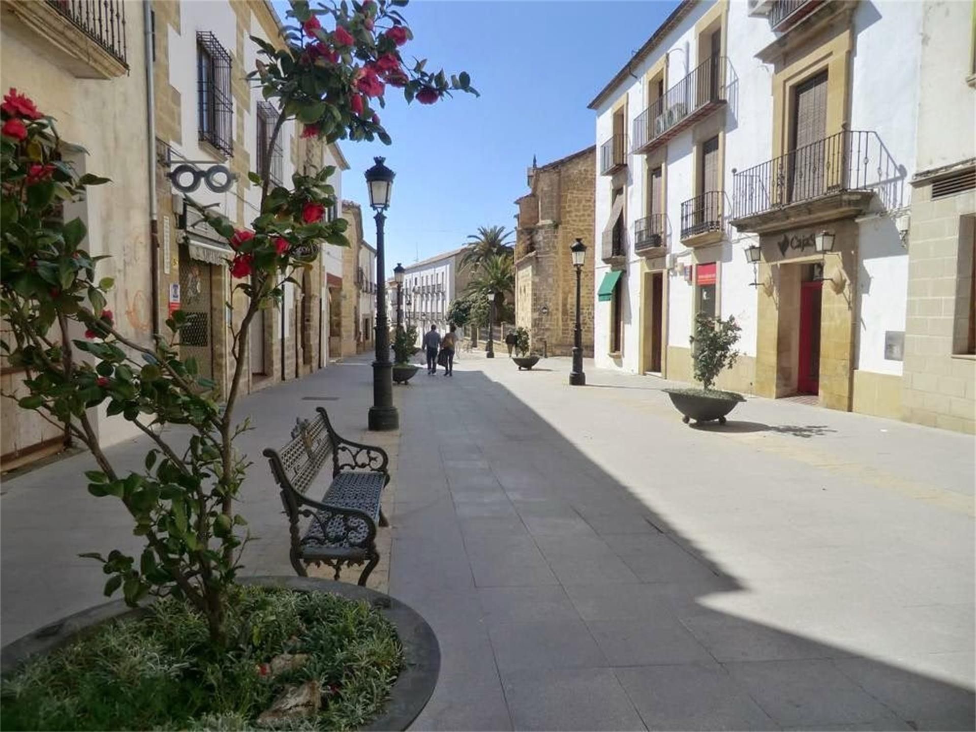 Vista exterior de Dúplex en venda en Baeza amb Aire condicionat, Terrassa i Balcó