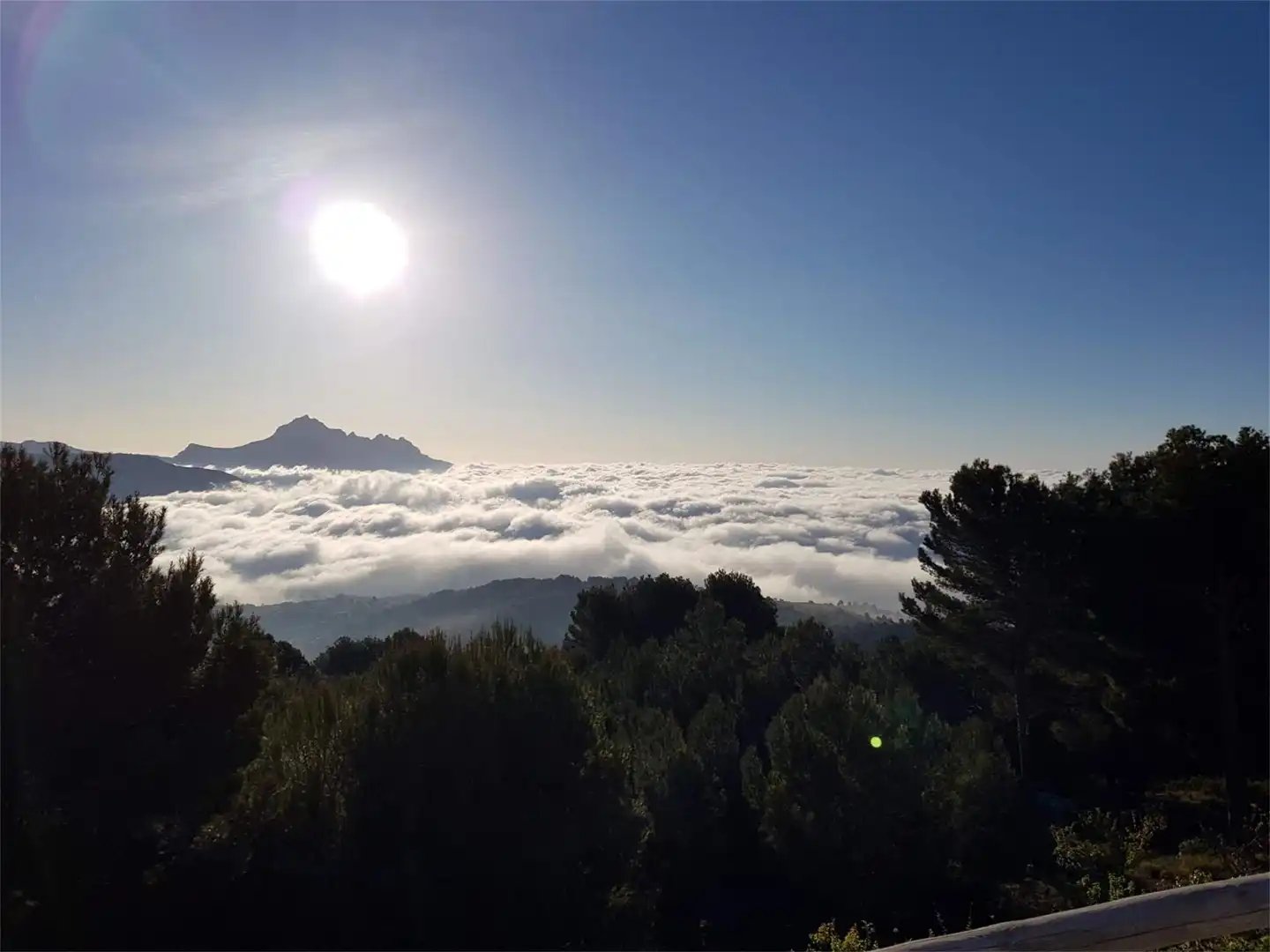 Vista exterior de Casa o chalet de alquiler en Benimantell con Aire acondicionado, Calefacción y Jardín privado