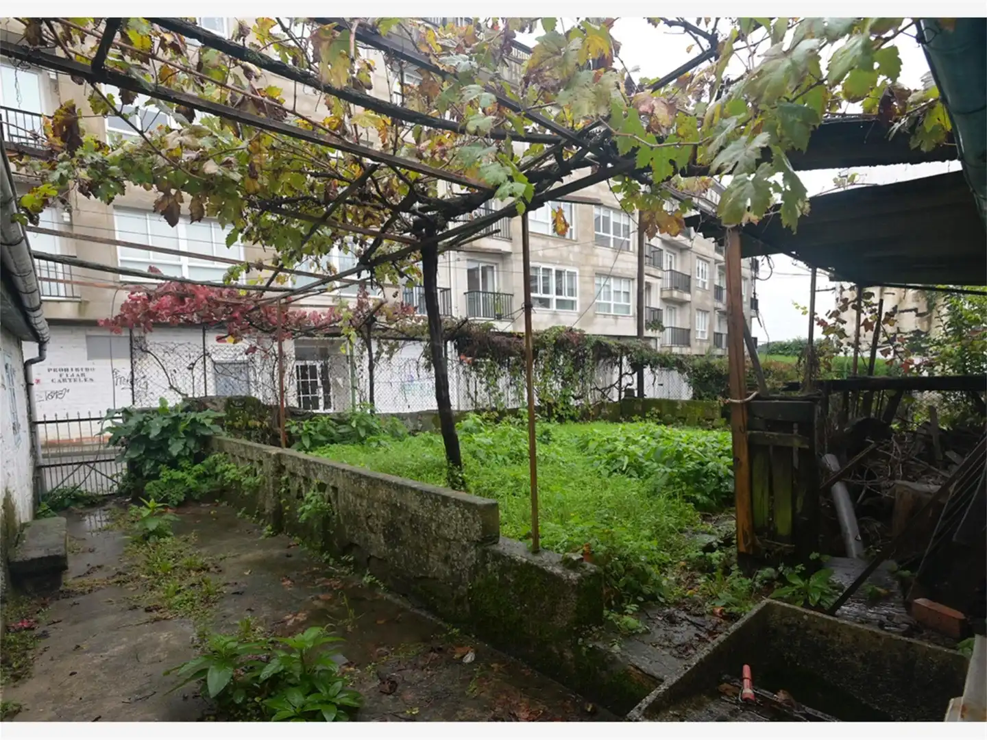 Garden of Country homes for sale in O Carballiño  