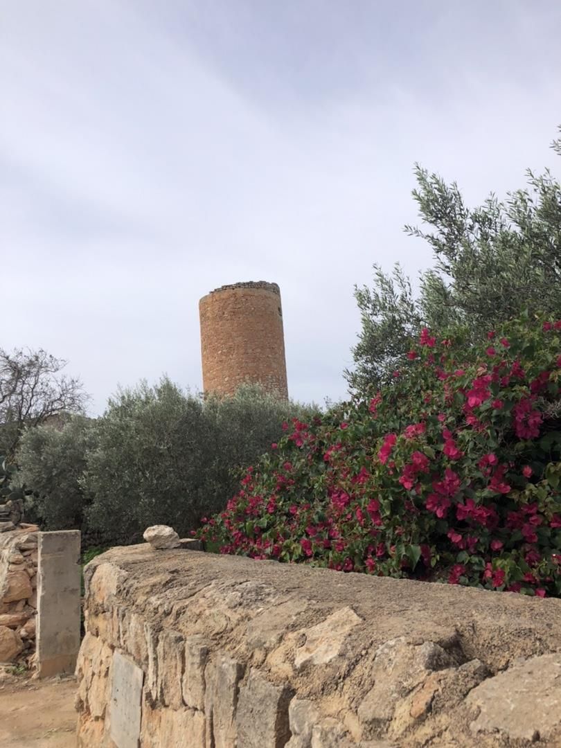 Jardí de Finca rústica en venda en Santanyí