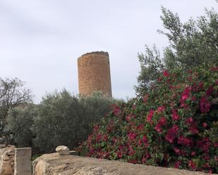 Country house for sale in Carrer de Ses Parras, Santanyí Poble Garden of Country house for sale in Santanyí
