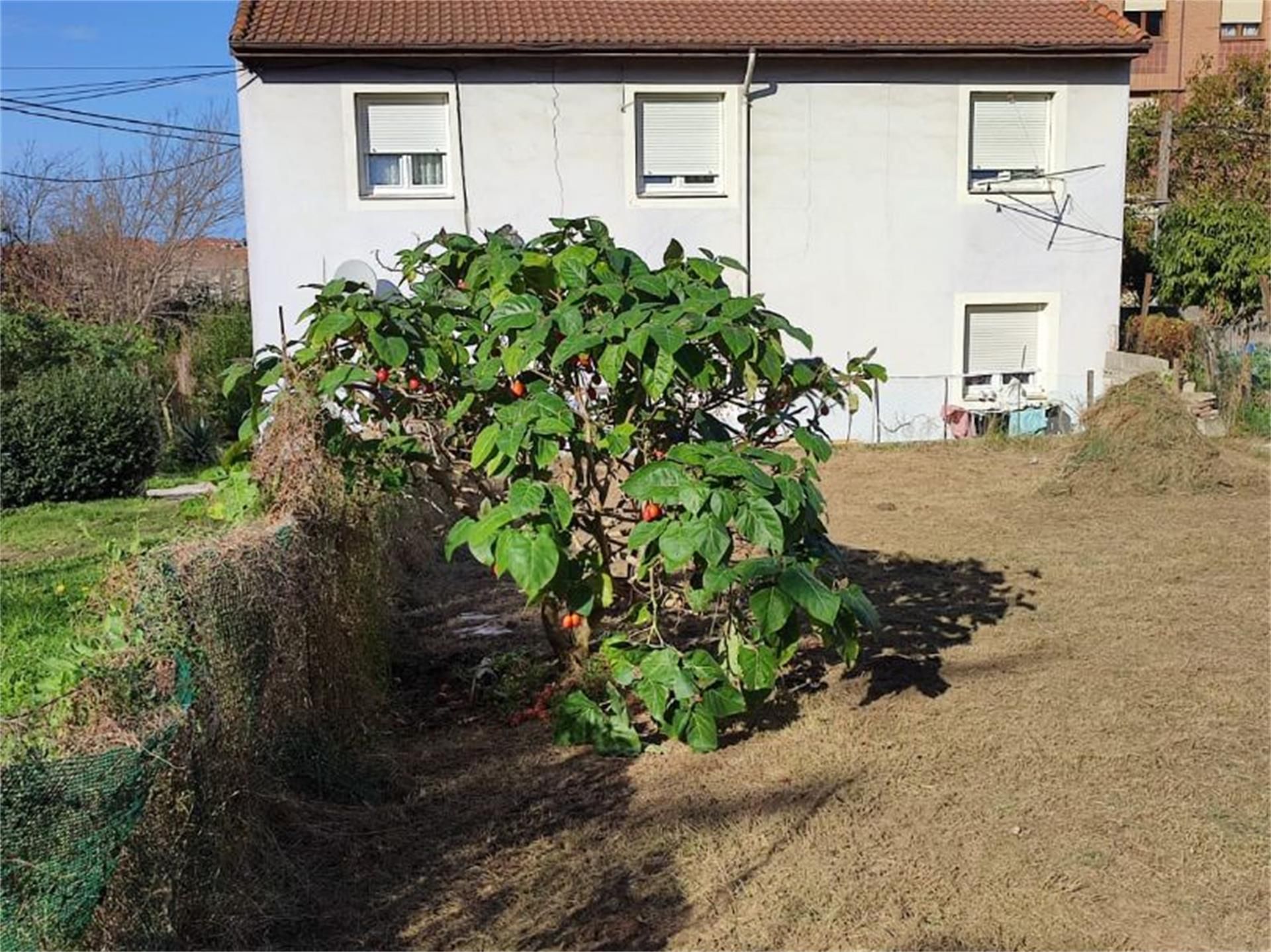 Jardí de Casa o xalet en venda en Santander