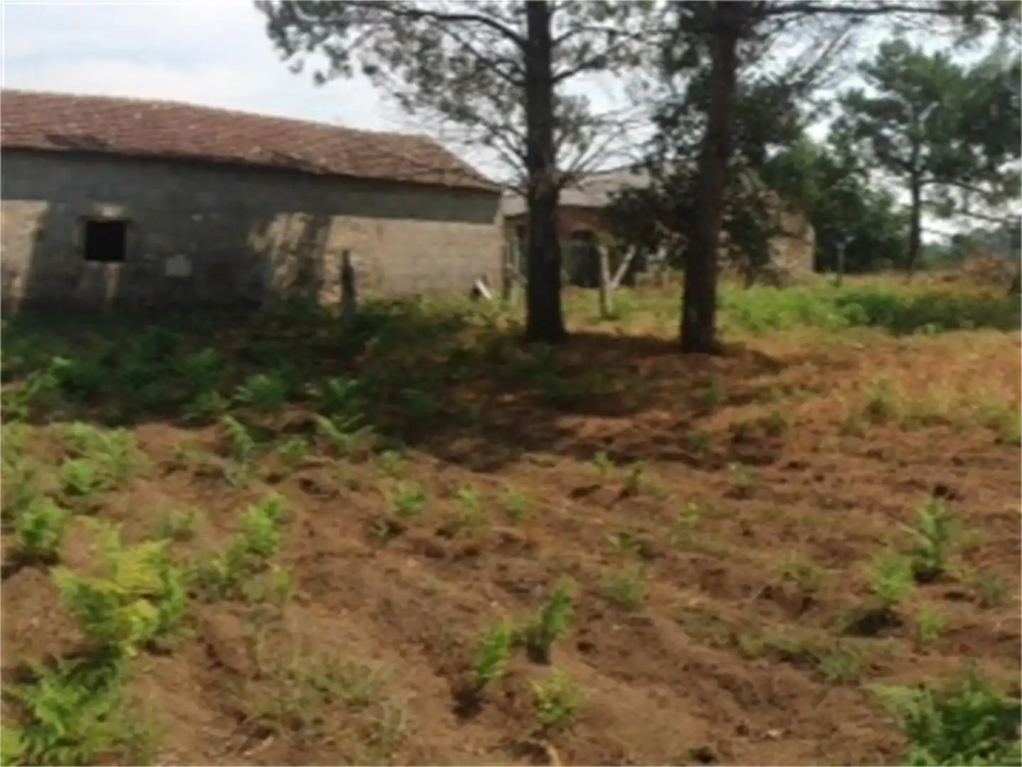 Country homes for rent in O Pereiro-Baión, 17, Vilanova de Arousa