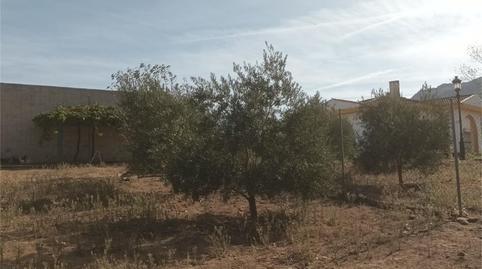 Foto 4 de Casa o xalet en venda a Cueva de Menga, Málaga