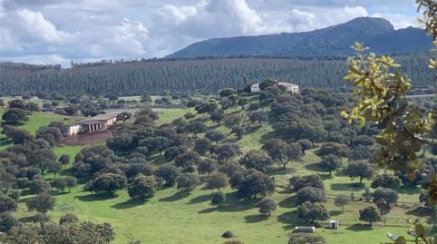 Foto 3 de Finca rústica en venta en N-430, Garbayuela, Badajoz