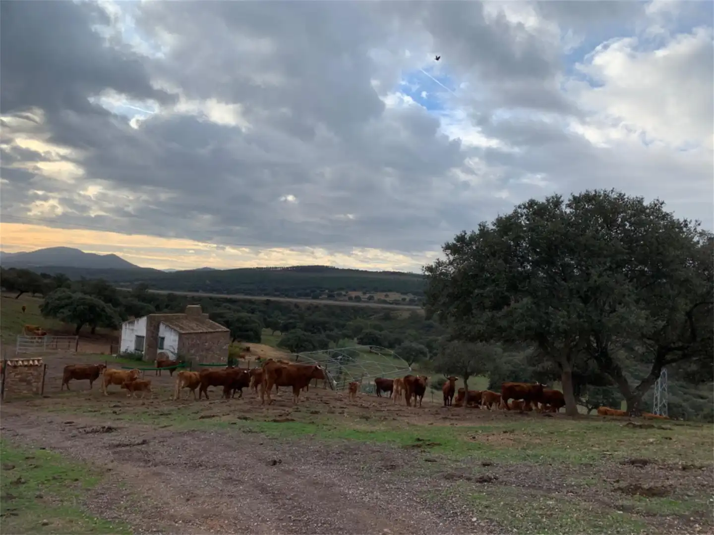 Finca rústica en venda a N-430, Garbayuela Vista exterior de Finca rústica en venda en Garbayuela amb Calefacció, Jardí privat i Terrassa