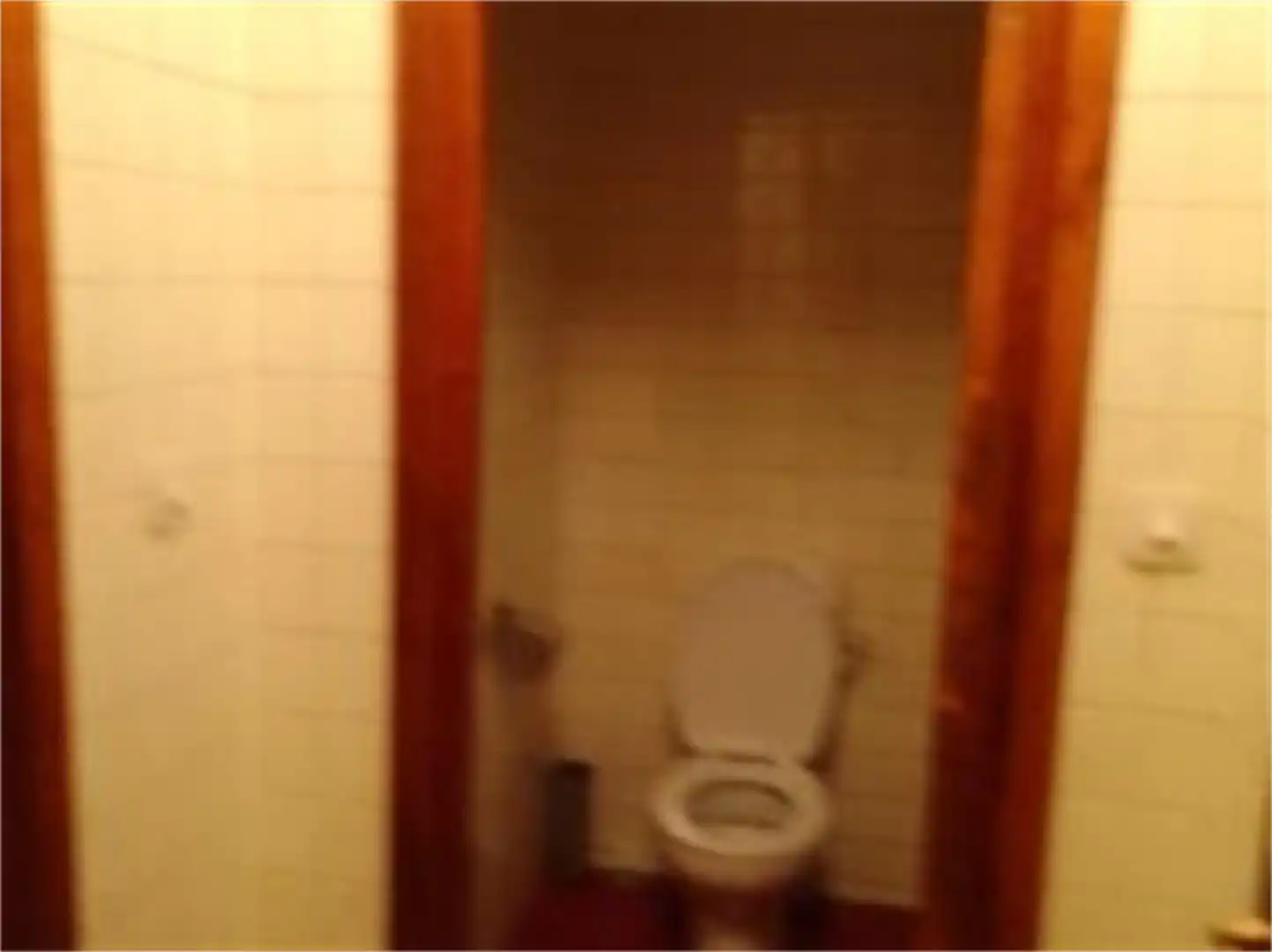 Bany de Local de lloguer en Candeleda