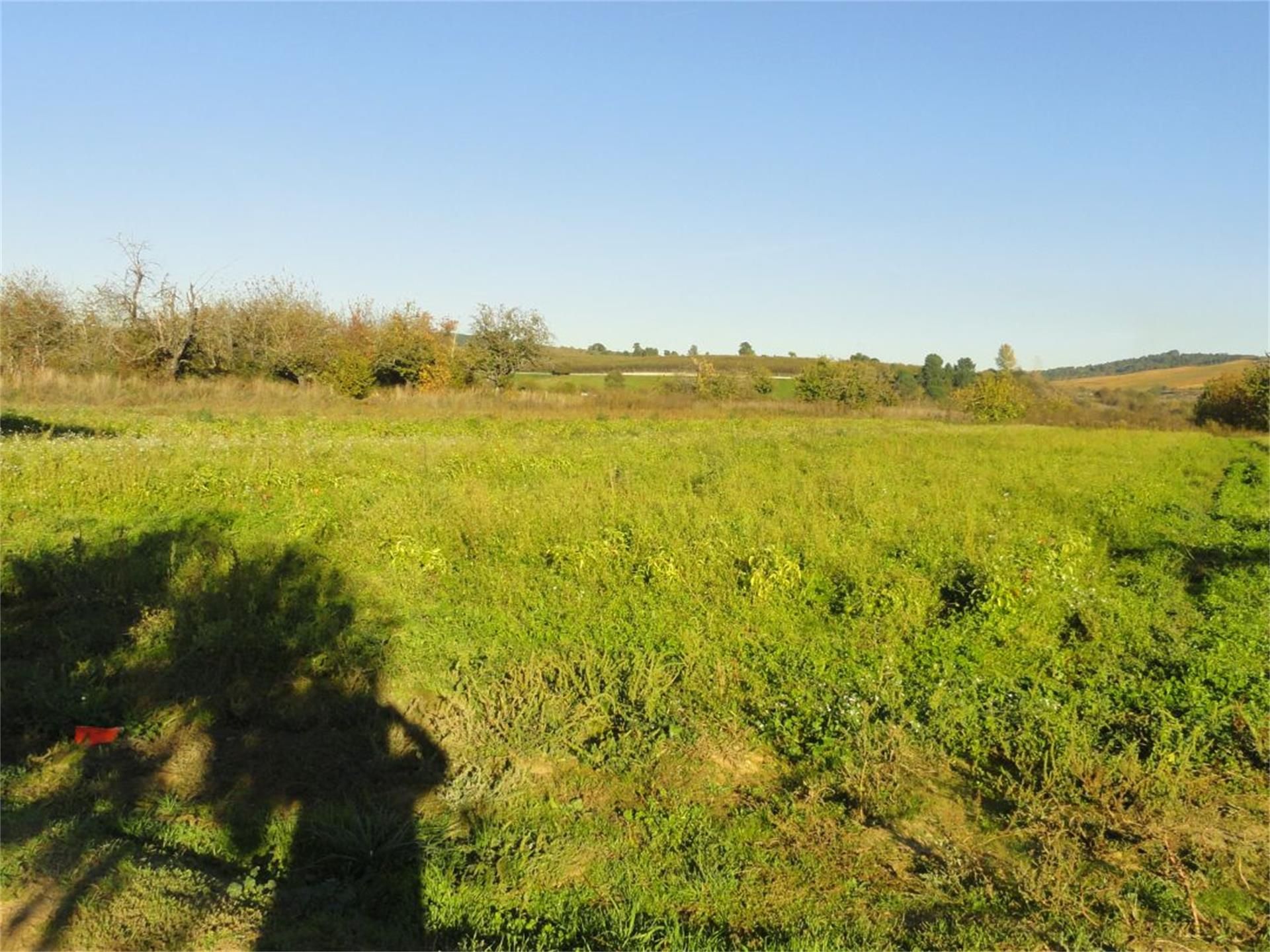 Non-constructible Land for sale in Cacabelos