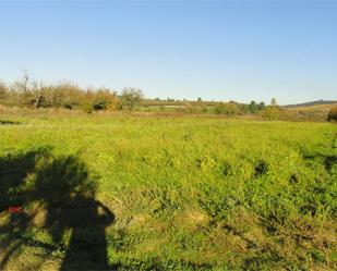 Non-constructible Land for sale in Cacabelos