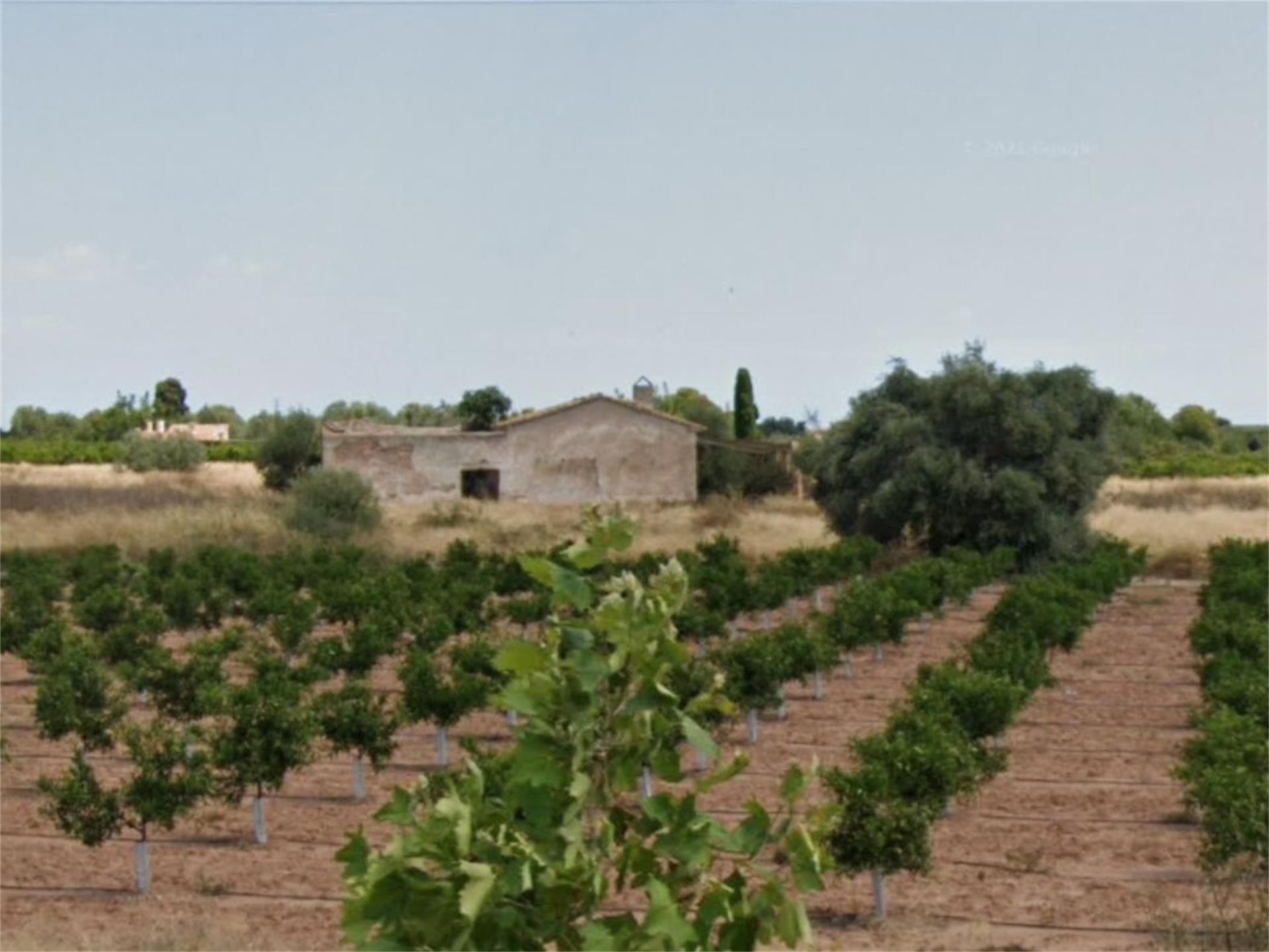 Finca rústica en venda en Vila-real amb Aire condicionat, Terrassa i Piscina