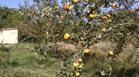 Foto 5 de Finca rústica en venta en N-611, Herrera de Pisuerga, Palencia