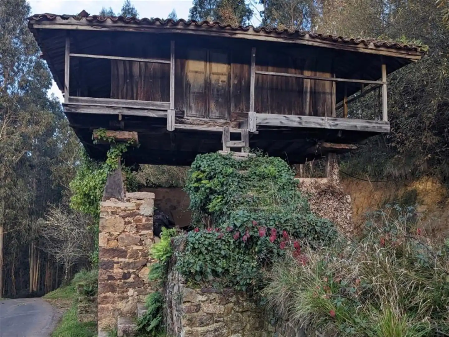 Finca rústica en venta en Alameda la Uz, 3, Soto del Barco Vista exterior de Finca rústica en venta en Soto del Barco