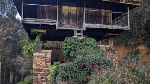 Finca rústica en venta en Alameda la Uz, 3, Soto del Barco, Asturias - imagen 5 Foto 5 de Finca rústica en venta en Alameda la Uz, 3, Soto del Barco, Asturias