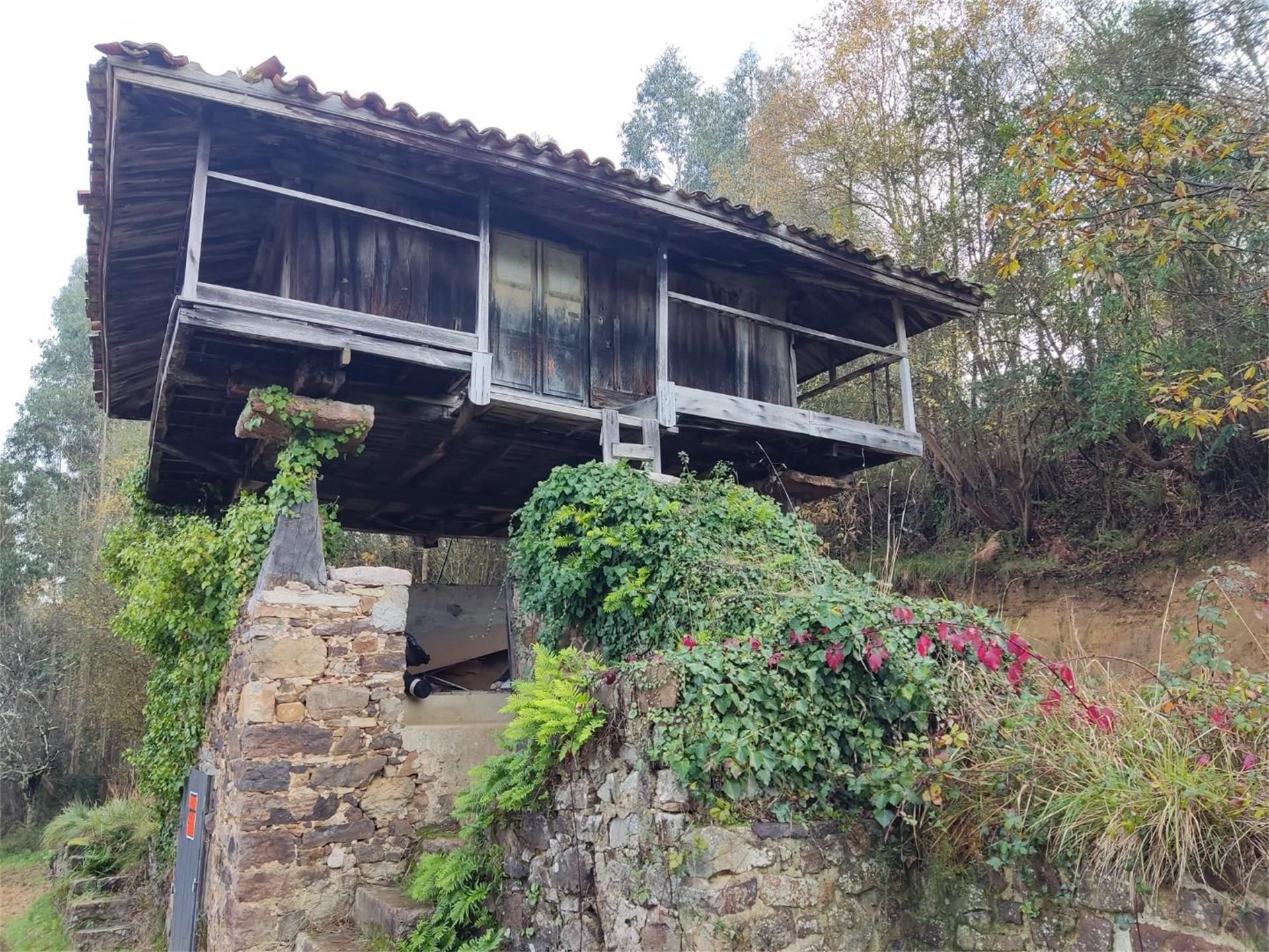 Exterior view of Country house for sale in Soto del Barco
