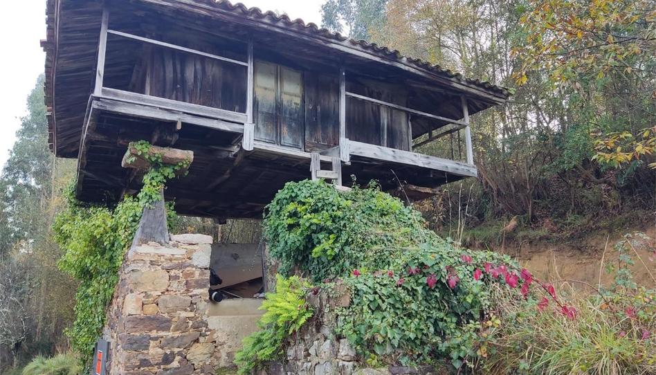 Finca rústica en venta en Alameda la Uz, 3, Soto del Barco, Asturias - imagen 1 Foto 1 de Finca rústica en venta en Alameda la Uz, 3, Soto del Barco, Asturias