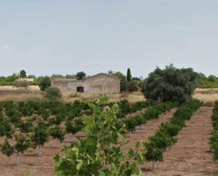 Casa o xalet en venda en Burriana / Borriana amb Aire condicionat, Terrassa i Piscina