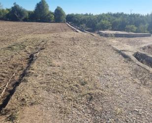 Casa o xalet en venda en Burriana / Borriana amb Aire condicionat, Terrassa i Piscina