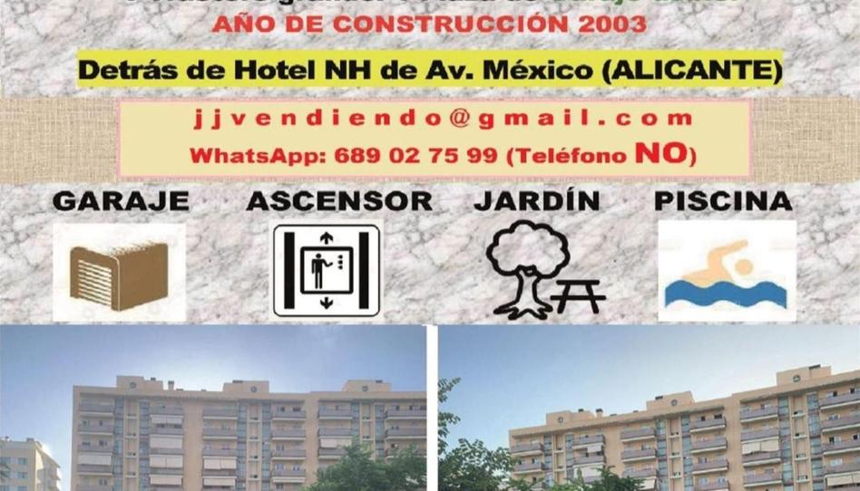 Piso en venta en Calle José Ramón Pomares, Babel, Alicante / Alacant - imagen 1 Foto 1 de Piso en venta en Calle José Ramón Pomares, Babel, Alicante / Alacant