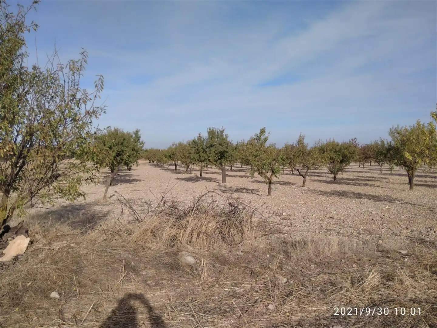 Land for sale in LV-2014, Maldà Land for sale in Maldà