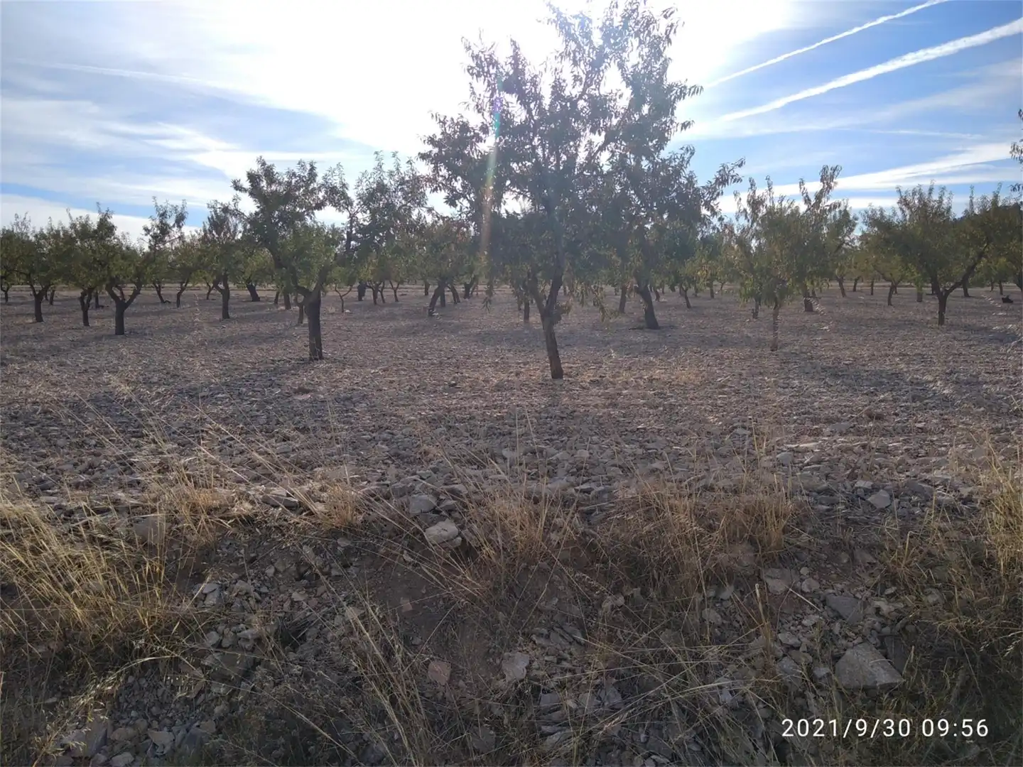 Land for sale in LV-2014, Maldà Land for sale in Maldà